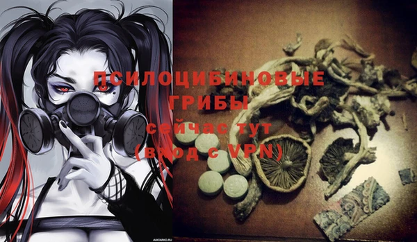 дмт Арсеньев