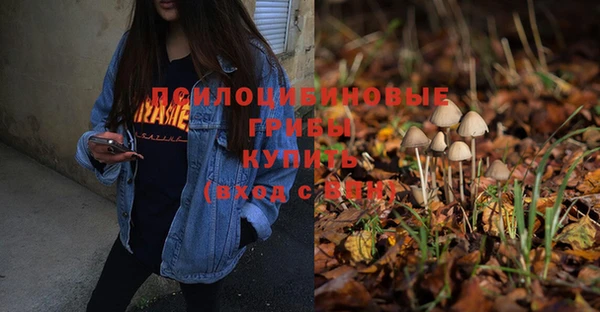 mix Армянск