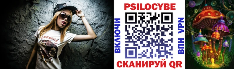 Псилоцибиновые грибы Psilocybe  Сковородино 